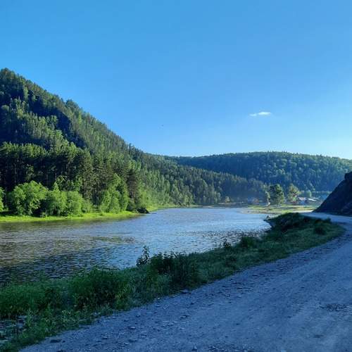 Photo #12119890