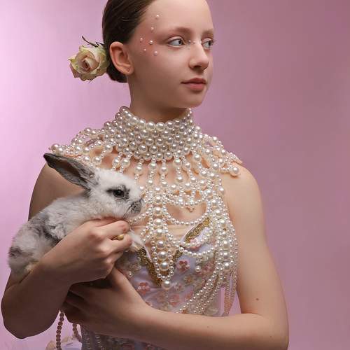 Photo #12119999