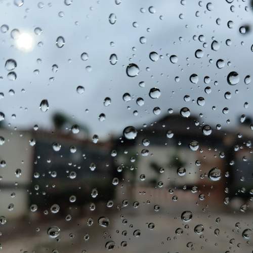 Photo #12121134
