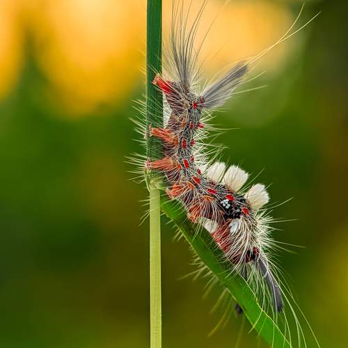Photo #12121145
