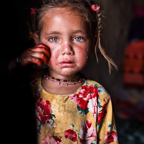 Photo #12121369