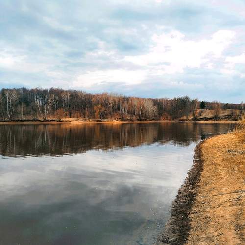 Photo #12121979