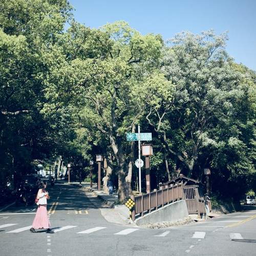 Photo #12122859