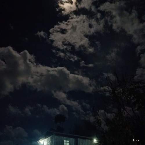 Photo #12124271