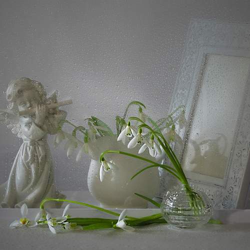 Photo #12124479