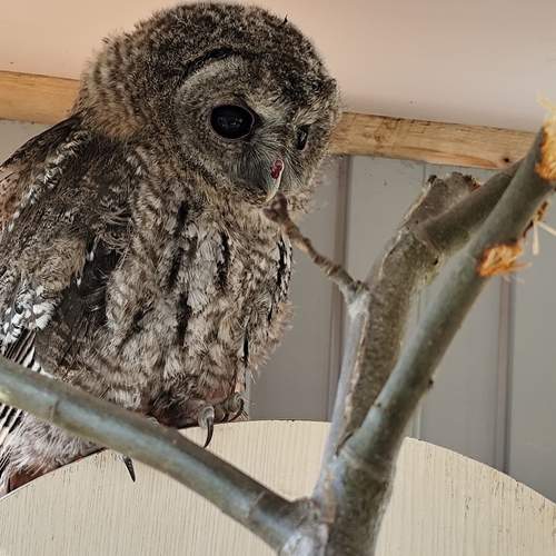 Photo #12124546