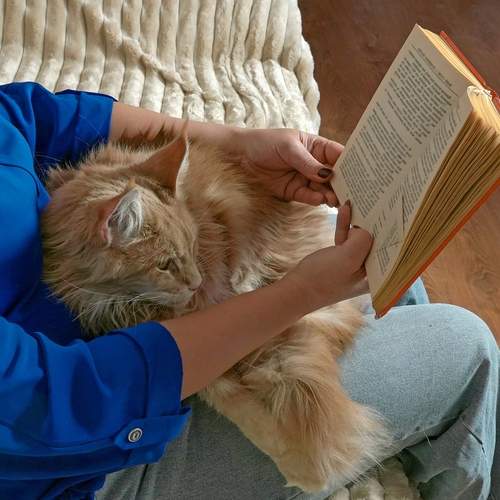 Photo #12124850