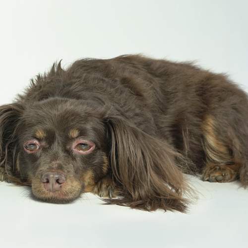 Photo #12124851