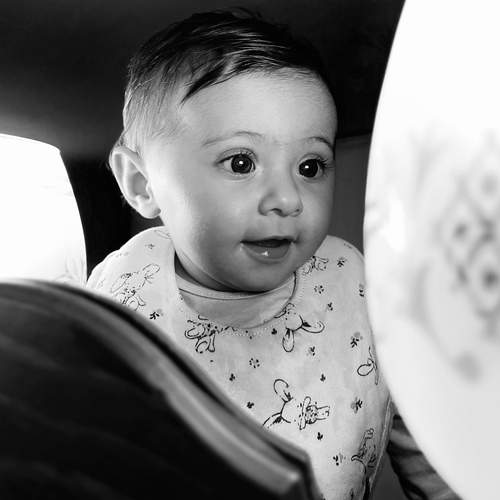 Photo #12124891