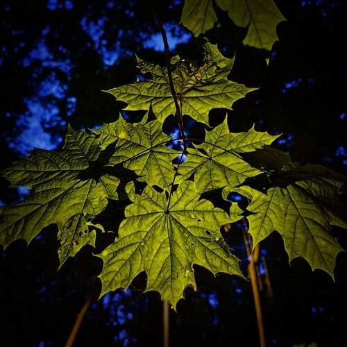 Photo #12125129