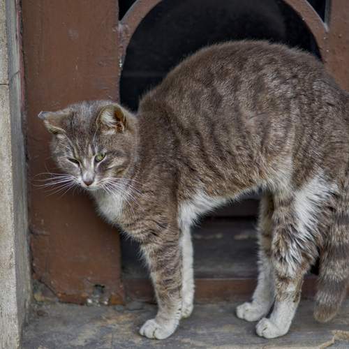 Photo #12125227