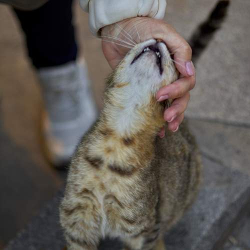 Photo #12125229