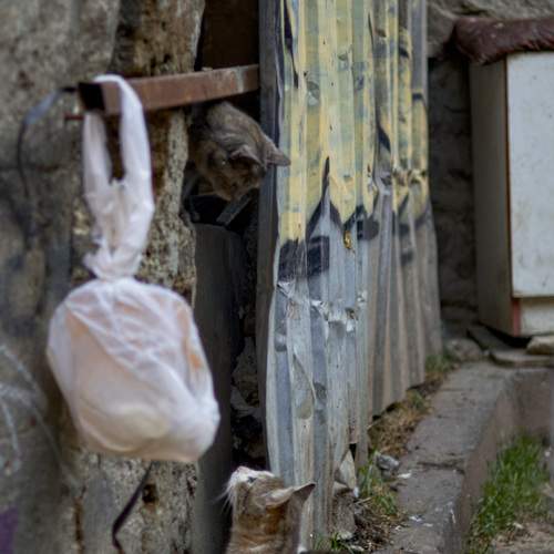 Photo #12125232