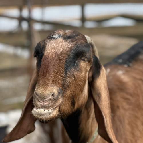 Photo #12125719