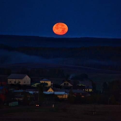 Photo #12125809