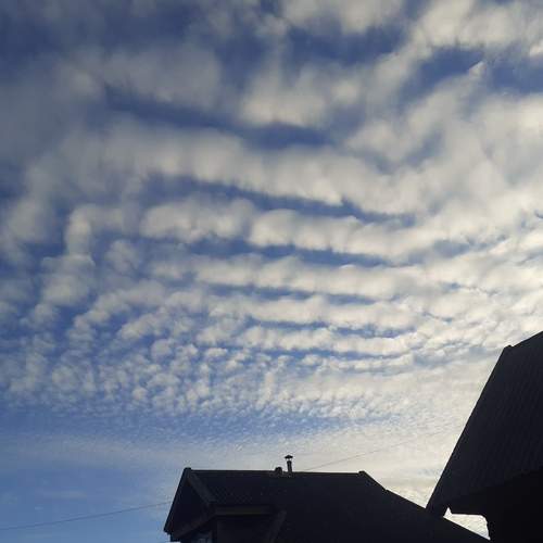 Photo #12125850