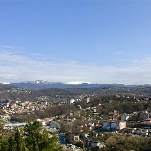 Photo #12126431