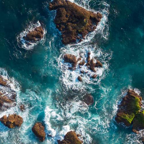 Photo #12126476
