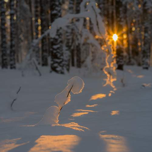 Photo #12126522