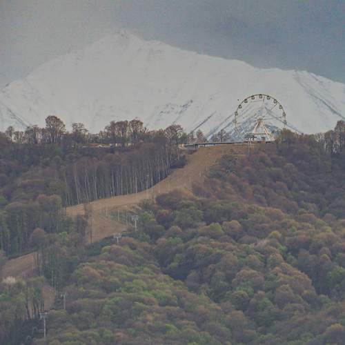Photo #12126772