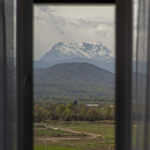 Photo #12126773