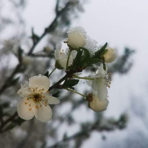 Photo #12127024