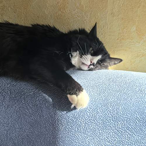 Photo #12127102