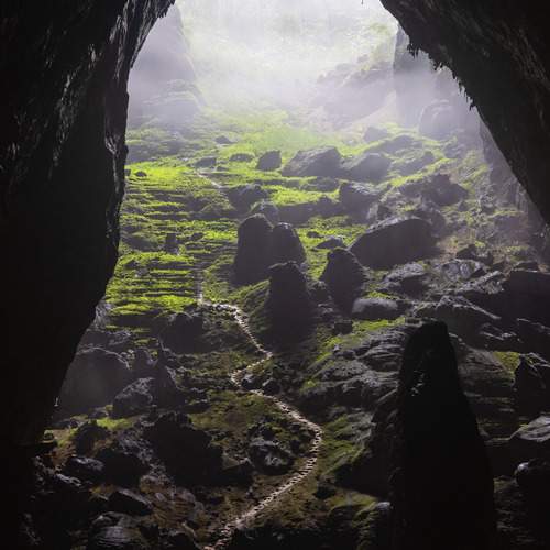 Garden of Eden in Son Doong Cave Vietnam