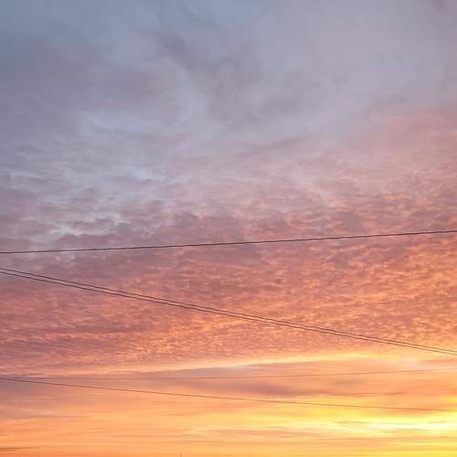 Photo #12127508