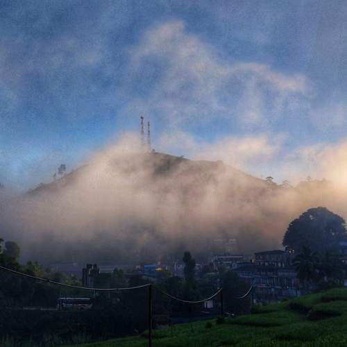 Photo #12127553