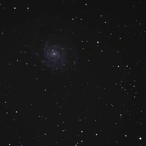 Photo #12127684
