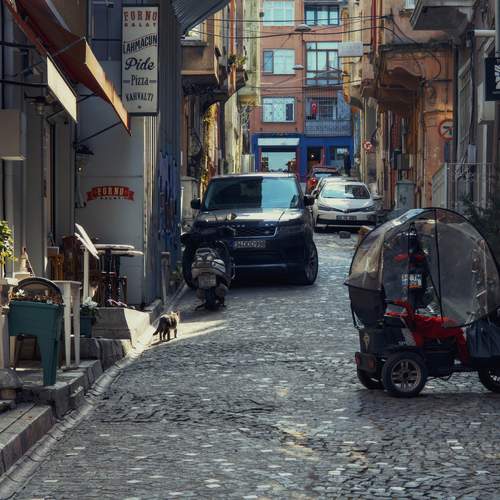 Photo #12127760