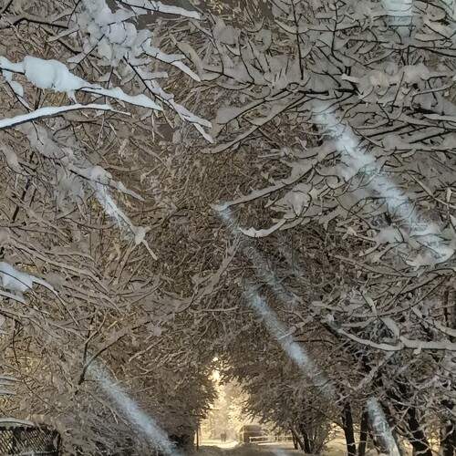 Photo #12128108
