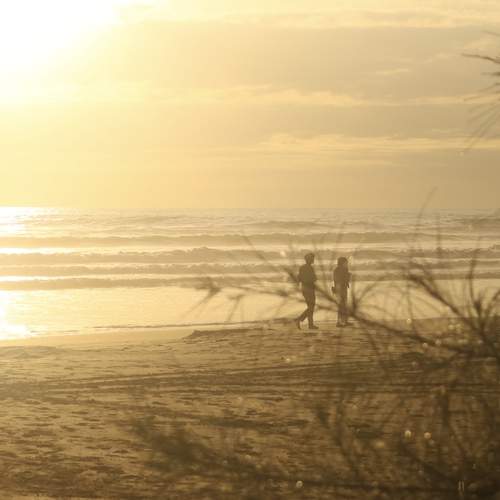 Photo #12128146