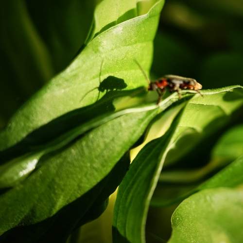 Photo #12128216