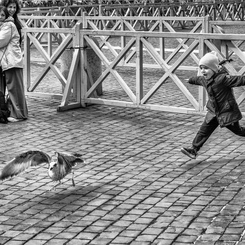 Photo #12128833
