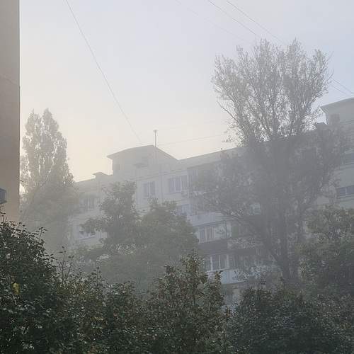 Photo #12129187