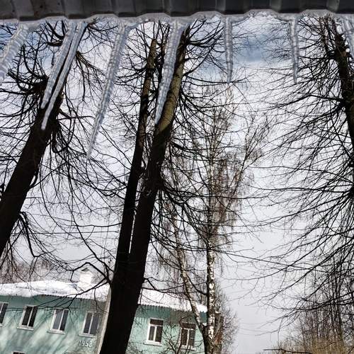 Photo #12129322