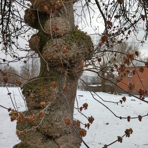 Photo #12129323
