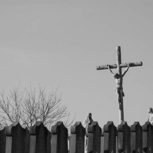 Photo #12129403
