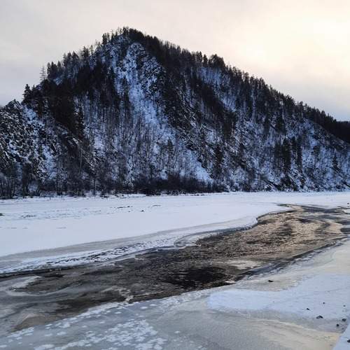 Photo #12129928