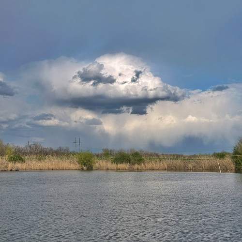 Photo #12130293