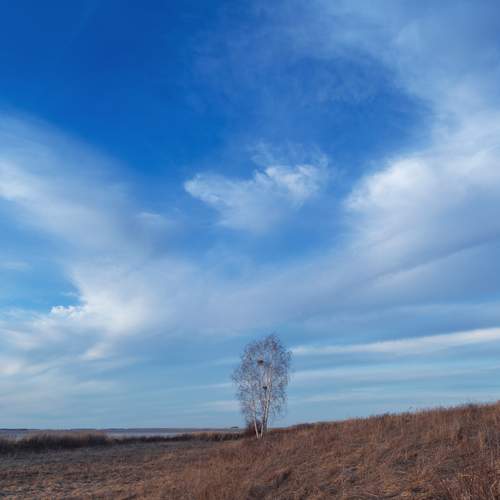 Photo #12130332