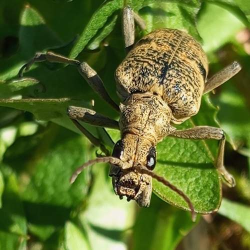 Photo #12130422