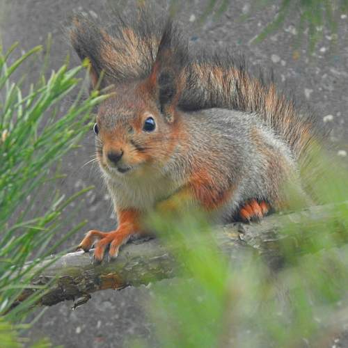 Photo #12130940