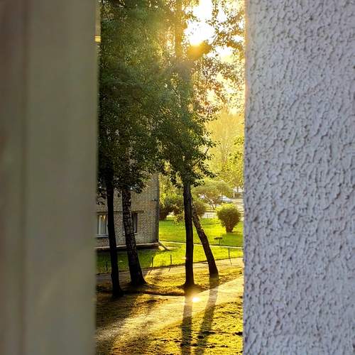 Photo #12131087