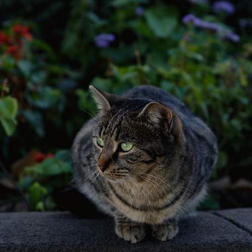 Photo #12131179