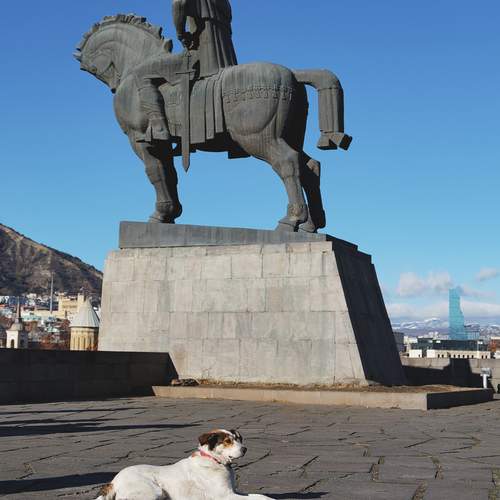 Photo #12131200