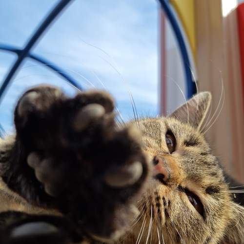 Photo #12131419