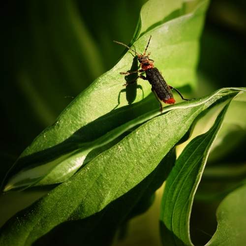 Photo #12131550